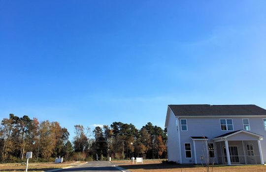 Rachels Place - Streetscape