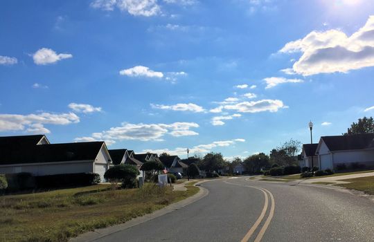 Alamosa Place - Streetscape