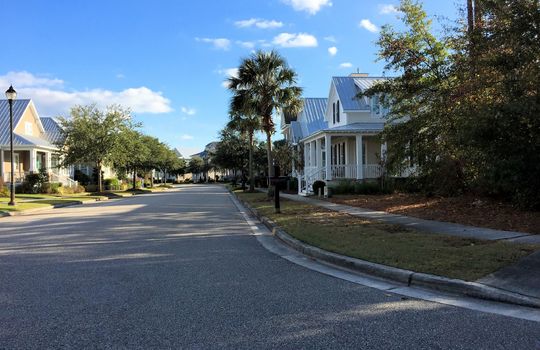 Parkside at Mayfaire - Streetscape