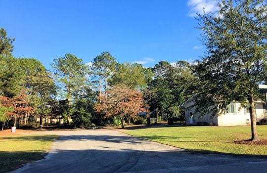 Kings Grant - Streetscape