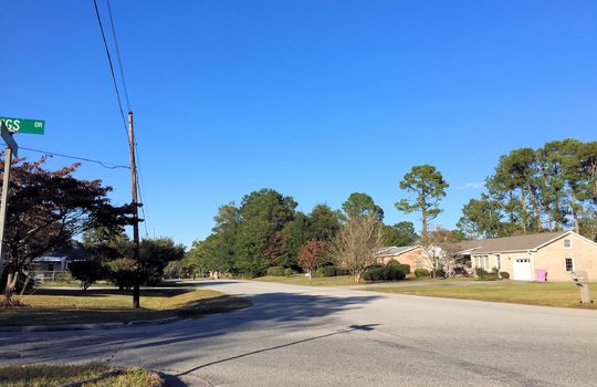 Kings Grant - Streetscape