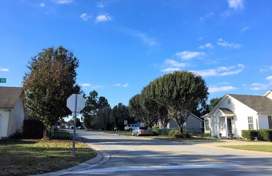 Alamosa Place - Streetscape