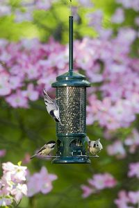 Brome 1057 Squirrel Buster Wild Bird Feeder with 4 Metal Perches