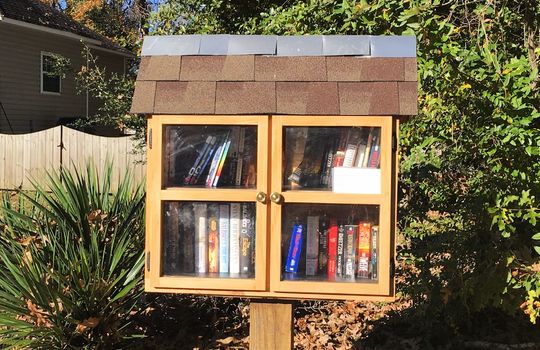 Emerald Forest - Little Free Library