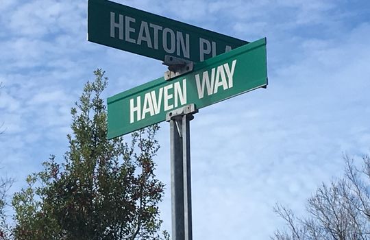 Emerald Forest - Street Sign