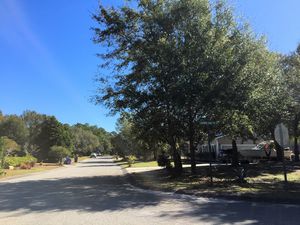 Grove Point - Streetscape