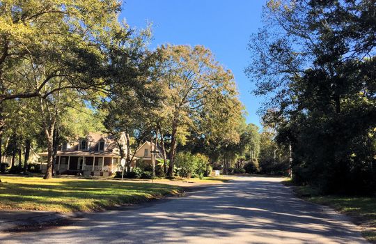 Grove Point - Streetscape