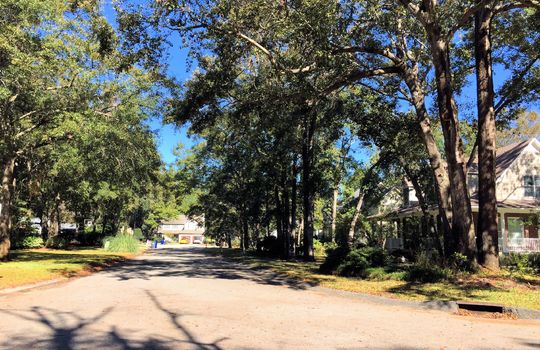 Grove Point - Streetscape