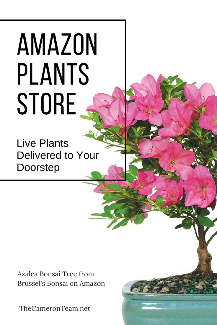 Amazon Plants Store