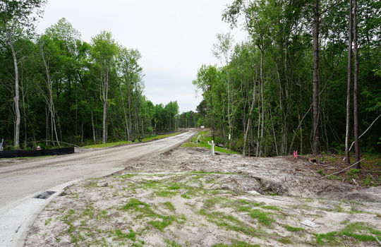 Canter Crest &#8211; Streetscape