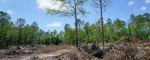 Carolina Creek – Under Construction