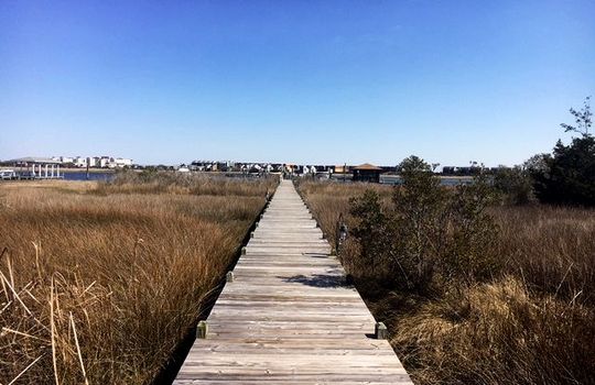 Pelican Point - Boardwalk