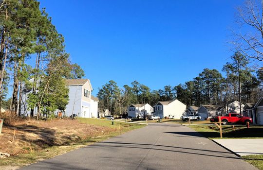 Old Dock Plantation - Streetscape