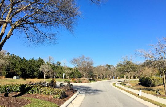 The Landing at Mill Creek - Streetscape