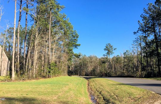 Old Dock Plantation - Streetscape