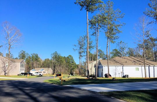 Old Dock Plantation - Streetscape
