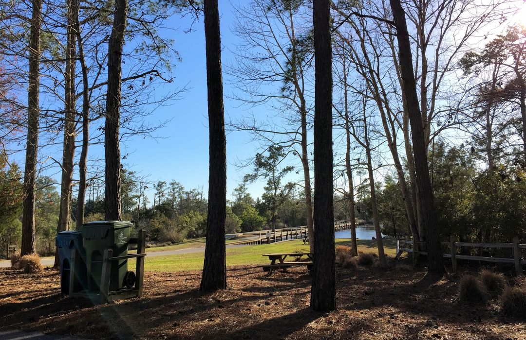 Mimosa Bay Homes for Sale in Sneads Ferry, NC The Cameron Team