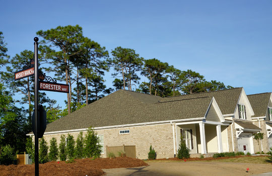 Whiskey Branch - Example Townhome