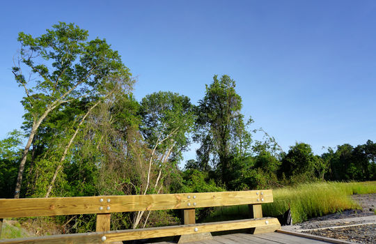 Whiskey Branch - Greenscape