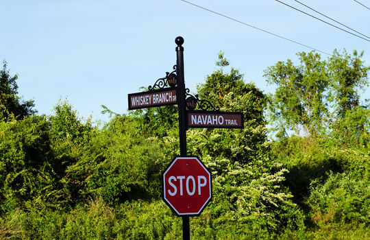 Whiskey Branch - Street Sign