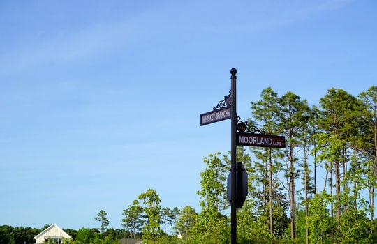 Whiskey Branch - Street Sign