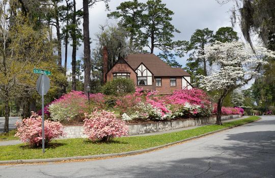Forest Hills - Streetscape