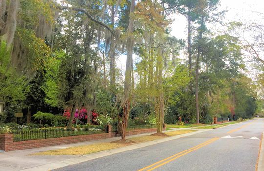 Forest Hills - Streetscape