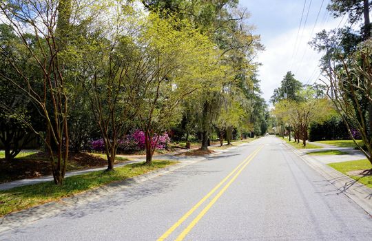Forest Hills - Streetscape