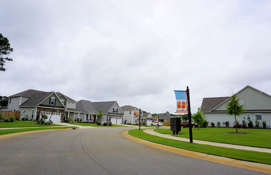 Johnson Farm - Fortune Place - Streetscape