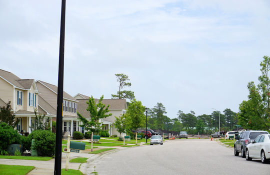 Johnson Farm - Fortune Place - Streetscape
