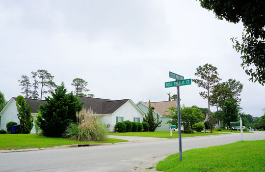 Johnson Farm - The Arbors - Streetscape