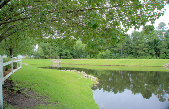 Johnson Farm - The Lakes - Pond
