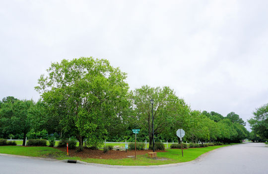 Johnson Farm - The Lakes - Streetscape