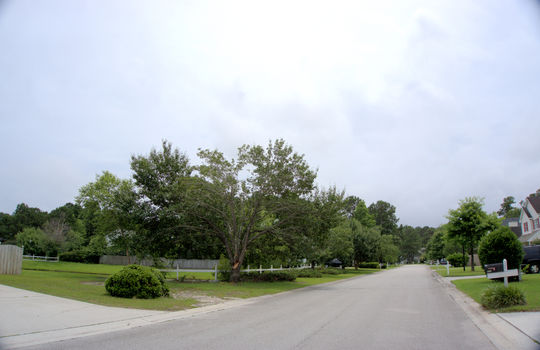 Johnson Farm - The Lakes - Streetscape