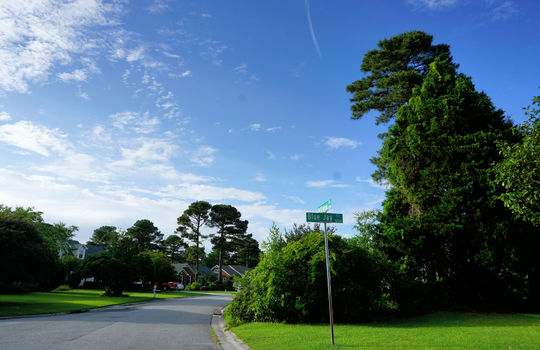 Oxford Place - Streetscape