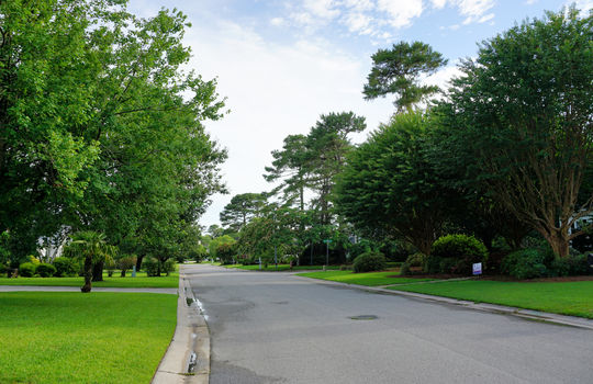 Oxford Place - Streetscape