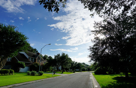 Oxford Place - Streetscape