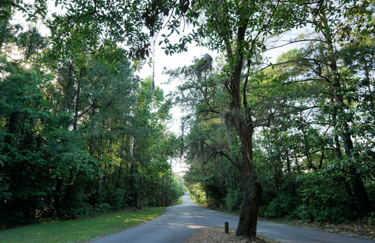 Oyster Point - Streetscape