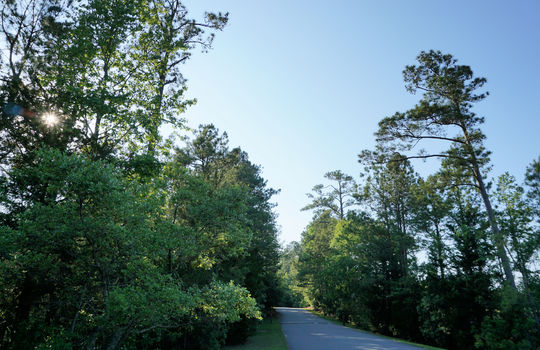 Oyster Point - Streetscape