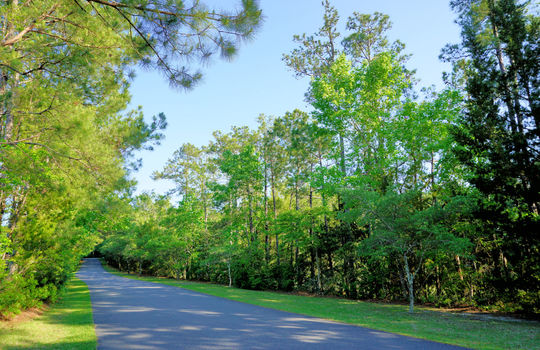 Oyster Point - Streetscape