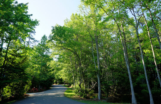 Oyster Point - Streetscape