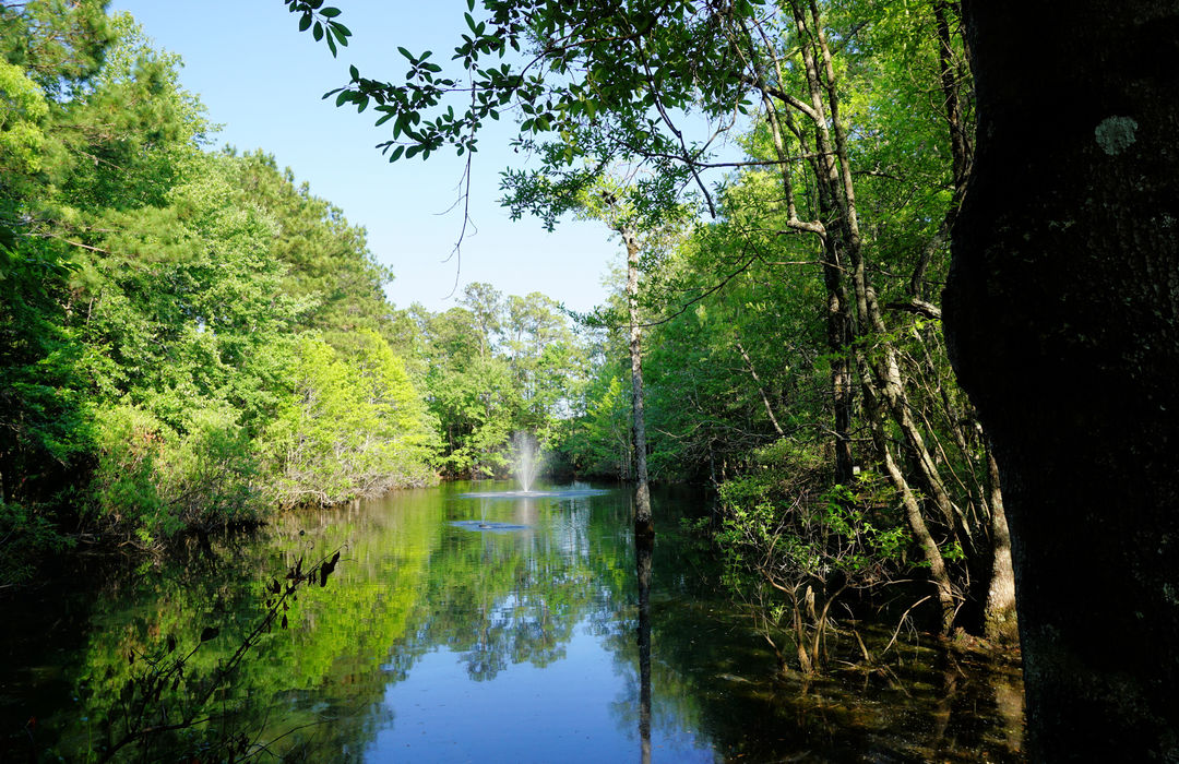 Oyster Point Homes for Sale in Wilmington, NC | The Cameron Team