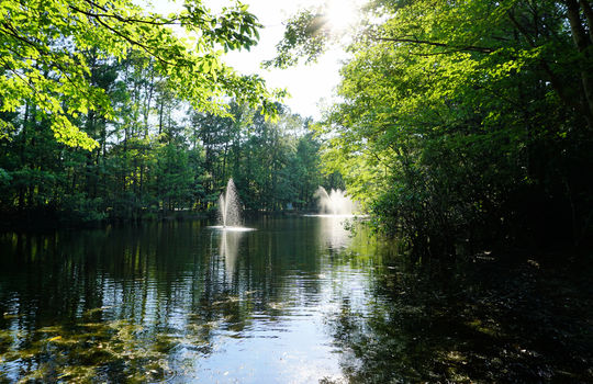 Oyster Point - Water View