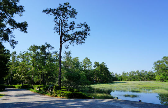 Oyster Point - Water View