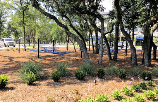 riverlights-live-oak-commons-3