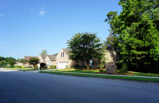 Brookridge at Rivers Edge - Streetscape