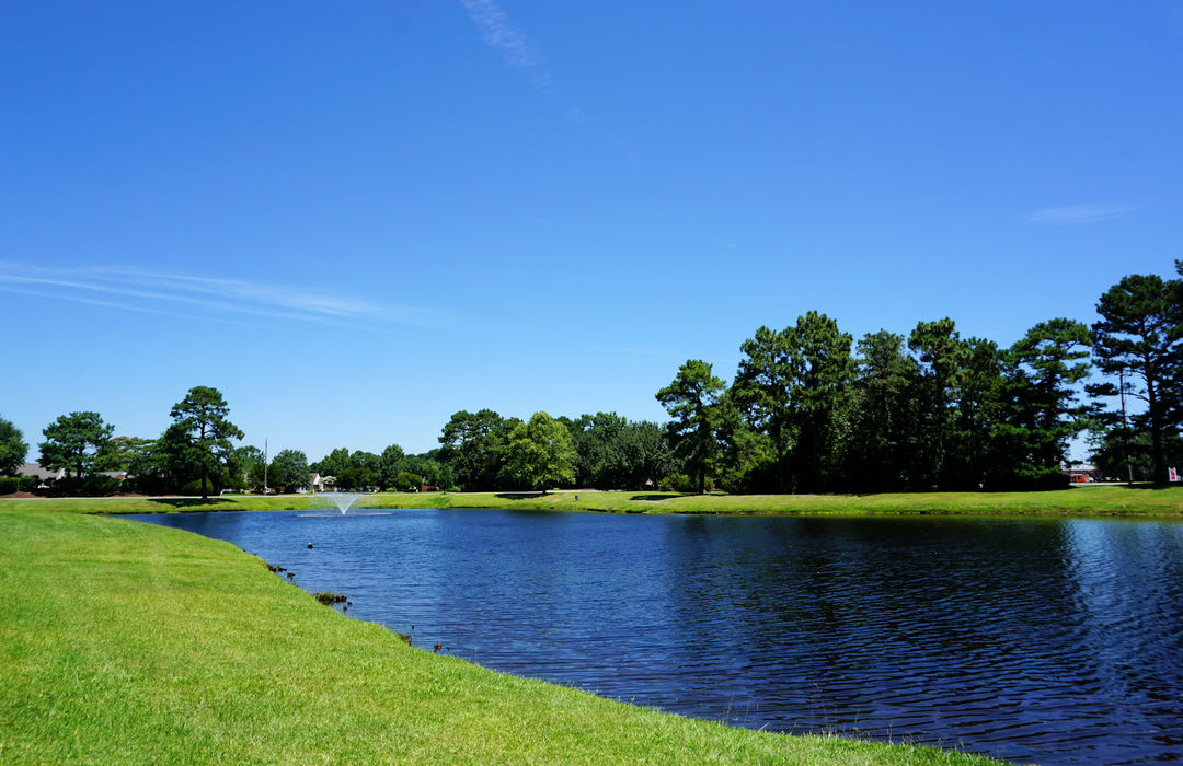 Northchase Homes for Sale in Wilmington, NC The Cameron Team