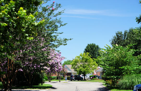 Northchase - Streetscape