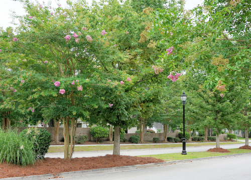 Rivers Edge - Entrance