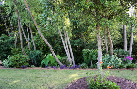 Rivers Edge - Landscaping